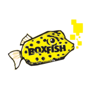 (c) Boxfish-ja.ch